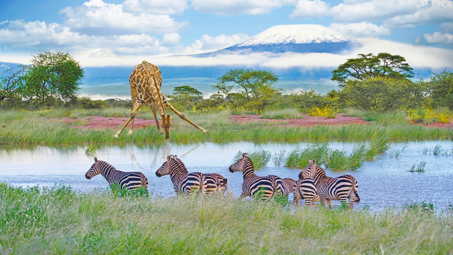 Kenia Länderseite Condor WKZ