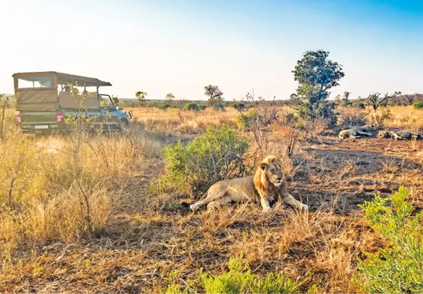 SEO-Content_LP_Content_Afrika_01