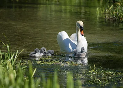 SEO_LP_Content_England_05