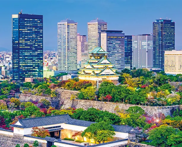 SEO-Content_LP_Japan_01