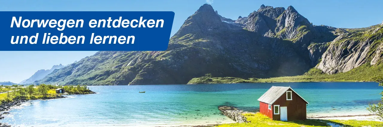 SEO-Content_LP_Header_Norwegen