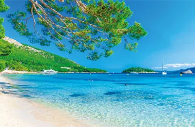 SEO_LP_Content_Mallorca_02