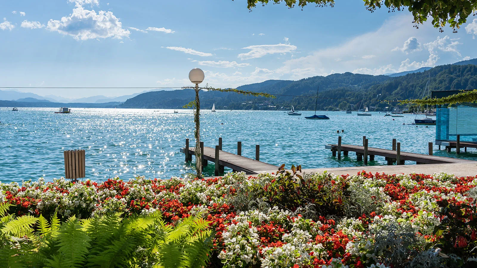 Wörther See vom Ufer während einer Österreich Rundreise