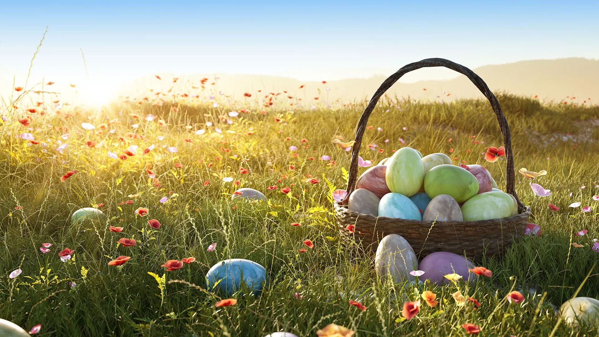 Oster-Aktion_24_Website_Content_Irland