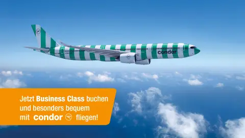 content_1920x1080px_wkz_condor_KV-placeholder