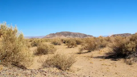 Mojave Wüste in Nevada-placeholder