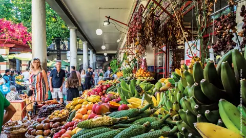 Mercado Municipal do Funchal-placeholder