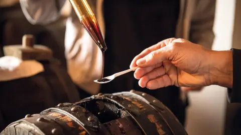 BLQ111_7296_Emilia_Romagna_basamico-placeholder