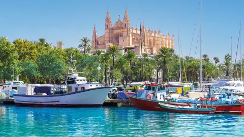 Das Beste von Mallorca Titelbild-placeholder