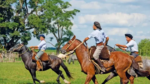 EZE111-112_Argentinien+Brasilien_content_1920x1080px_Gauchos-placeholder