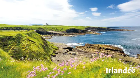 Irische Halbinsel Mullaghmore-placeholder