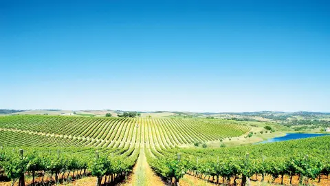 Alentejo im Süden Portugals-placeholder