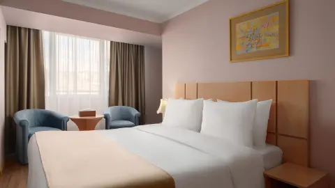 Ani Plaza Hotel, Zimmerbeispiel-placeholder