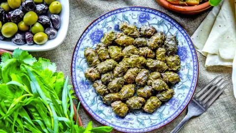 Traditionelles Dolma-Gericht, gefüllte Weinblätter-placeholder