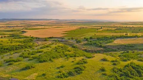 Weinanbaugebiet Kachetien im Abendlicht der Sonne-placeholder