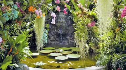 NAP112_Ischia_Garten-Myrten-placeholder