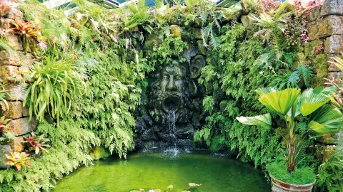 NAP112_Ischia_Garten-Myrten2-placeholder