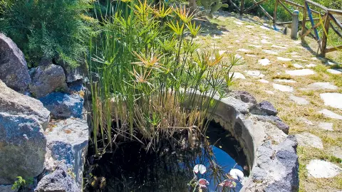 NAP112_Ischia_Nitrodi_thermal_ischia-placeholder