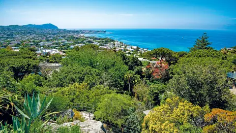Ausblick auf Bäume und Meer in Ischia-placeholder