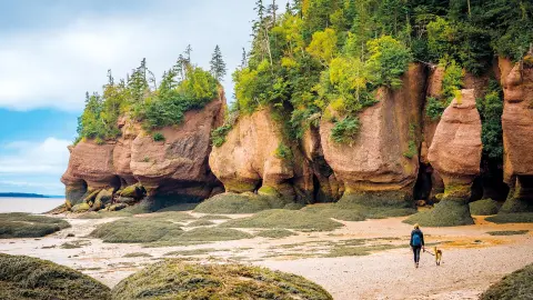 Spaziergängerin an Felsformationen Hopewell Rocks am Sandstrand-placeholder