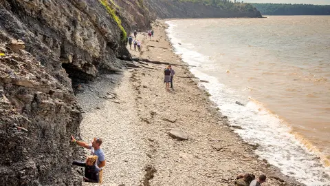 Besucher am Strand der Joggins Fossil-Klippen-placeholder