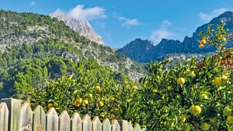 Fornalutx-placeholder