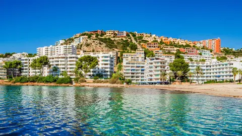 PMI118_Mallorcas_Mandelbluete_Santa-Ponca_content_1920x1080px_-placeholder