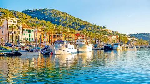 PMI118_Mallorcas_Mandelbluete_Santa-Ponca_content_1920x1080px_Port_d_Andratx-placeholder