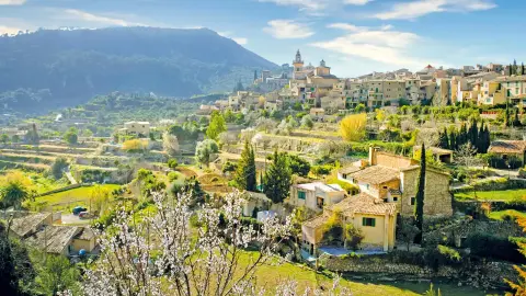 PMI118_Mallorcas_Mandelbluete_Santa-Ponca_content_1920x1080px_Valldemossa-placeholder