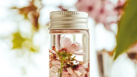 PMI118_Mallorcas_Mandelbluete_Santa-Ponca_content_1920x1080px_Führung durch eine Mandelparfüm-Manufraktur-placeholder