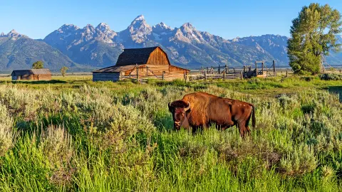 Grand-Teton-Nationalpark-placeholder