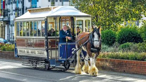 Pferdestraßenbahn in Douglas-placeholder