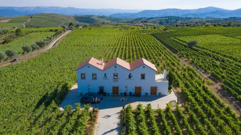Das Weingut Quinta da Avessada-placeholder