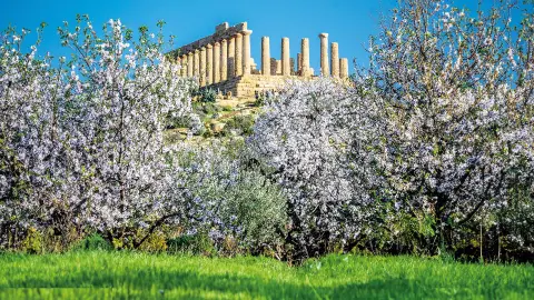 Tal der Tempel in Sizilien mit Mandelbäumen-placeholder
