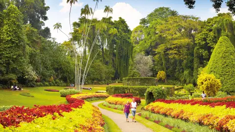 F77YJD_5236-37-Sri-Lanka_content_1920x1080px_bot-garten-placeholder