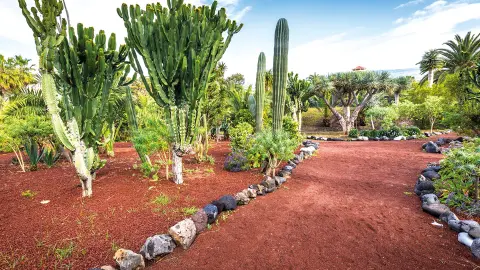 Botanischer Garten in Puerto de la Cruz-placeholder