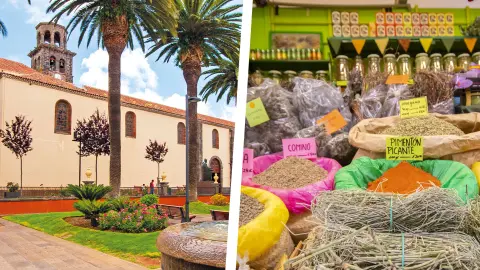 trendtours Teneriffa Ausflüge-placeholder