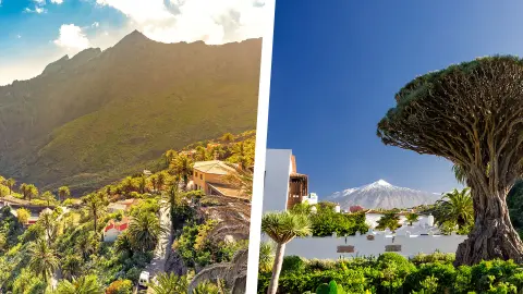 trendtours Teneriffa Ausflüge-placeholder