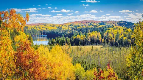 Algonquin Provincial Park-placeholder