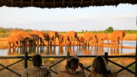 Voi Wildlife Lodge-placeholder