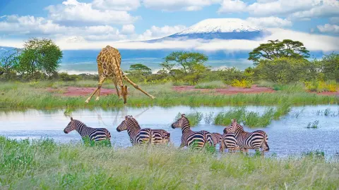 Kenia Reisedetailseite Condor WKZ-placeholder