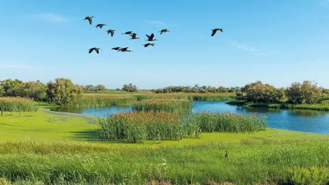 ESL111_unterwegs-an-der-costa-de-la-luz_Donana-placeholder