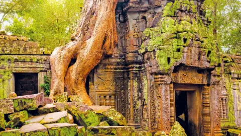 Ta Prohm-placeholder