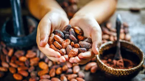 Ecomuseo del Cacao-placeholder
