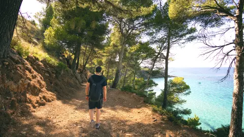 PMI117_Wandern auf Mallorca-BG Tonga_26_content_1920x1080px_Küstenwanderung Betlem01-placeholder