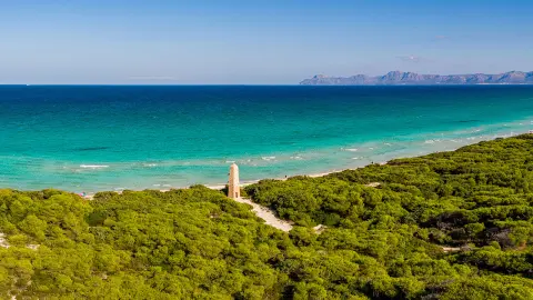 PMI117_Wandern auf Mallorca-BG Tonga_26_content_1920x1080px_titel-des-bildes_Playa_del_Muro3-placeholder