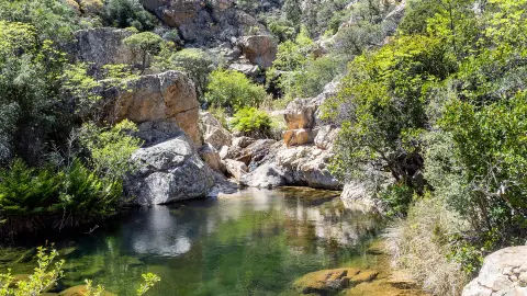 Monte Nieddu-placeholder